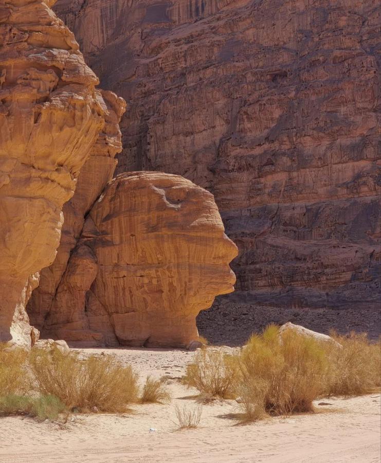 Amanda Luxury Camp Hotel Wadi Rum Bagian luar foto